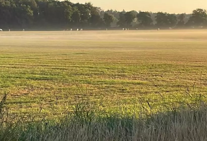 ベッドアンドブレックファースト Appelscha Aan De Diek