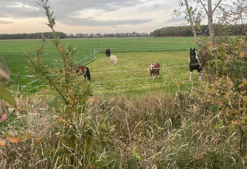 민박 Appelscha Aan De Diek