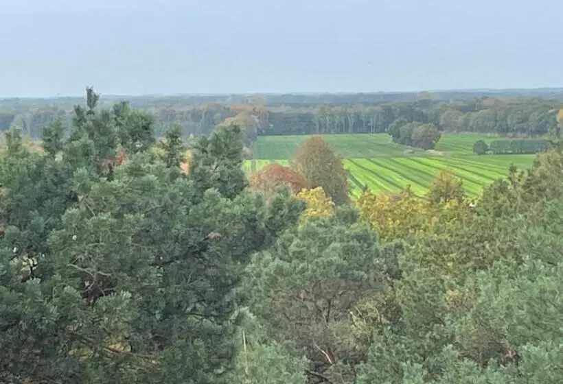 ベッドアンドブレックファースト Appelscha Aan De Diek