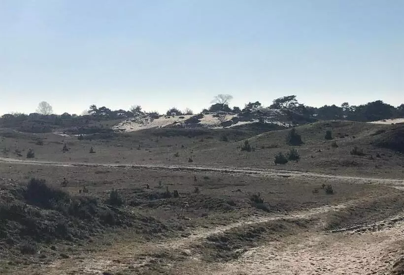 ベッドアンドブレックファースト Appelscha Aan De Diek