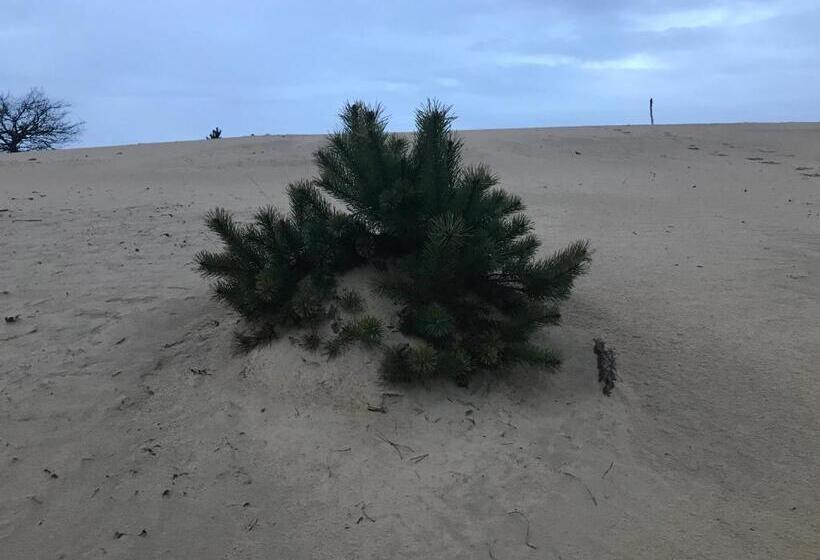 민박 Appelscha Aan De Diek