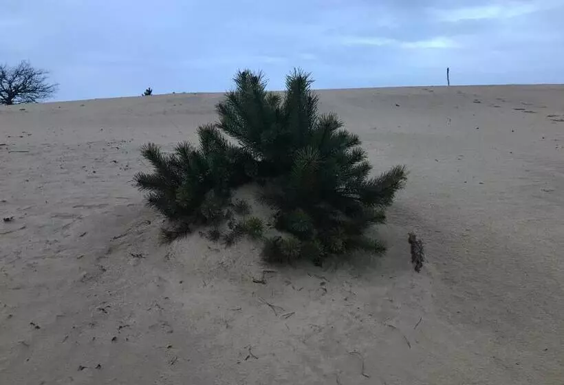 ベッドアンドブレックファースト Appelscha Aan De Diek