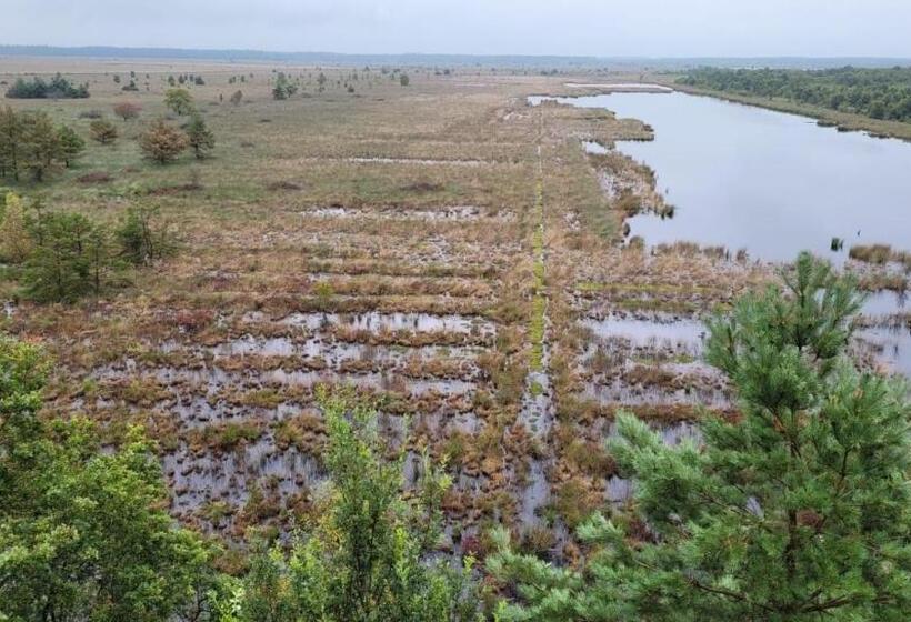 민박 Appelscha Aan De Diek