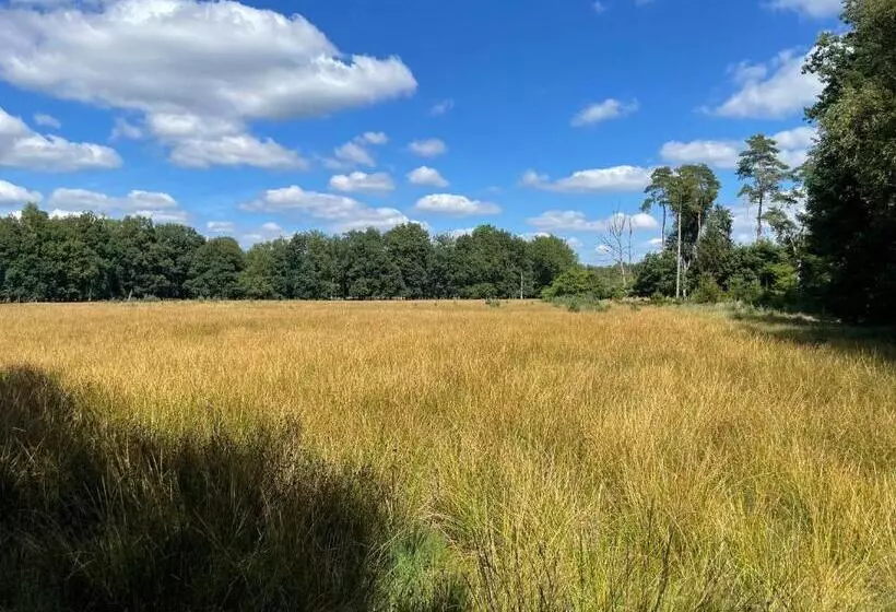 ベッドアンドブレックファースト Appelscha Aan De Diek