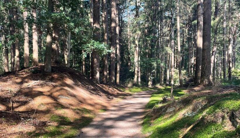 민박 Appelscha Aan De Diek