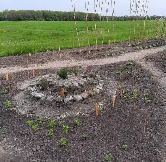 ベッドアンドブレックファースト Appelscha Aan De Diek