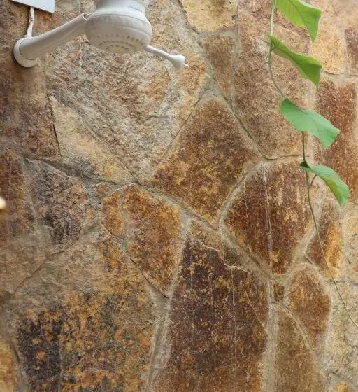 ホテル Amoreira Pousada Em Barra Grande Piaui