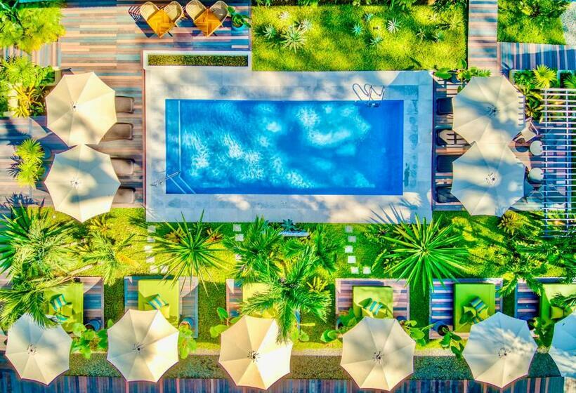 هتل Exôtico Beach & Rooms