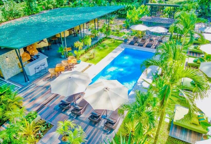 هتل Exôtico Beach & Rooms