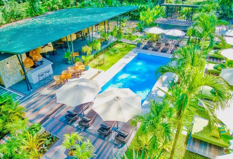 Hotelli Exôtico Beach & Rooms