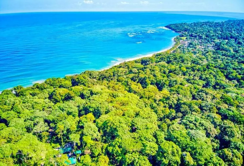 Hotelli Exôtico Beach & Rooms