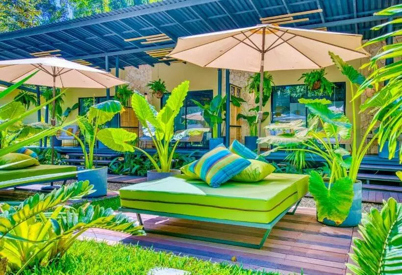 Hotelli Exôtico Beach & Rooms