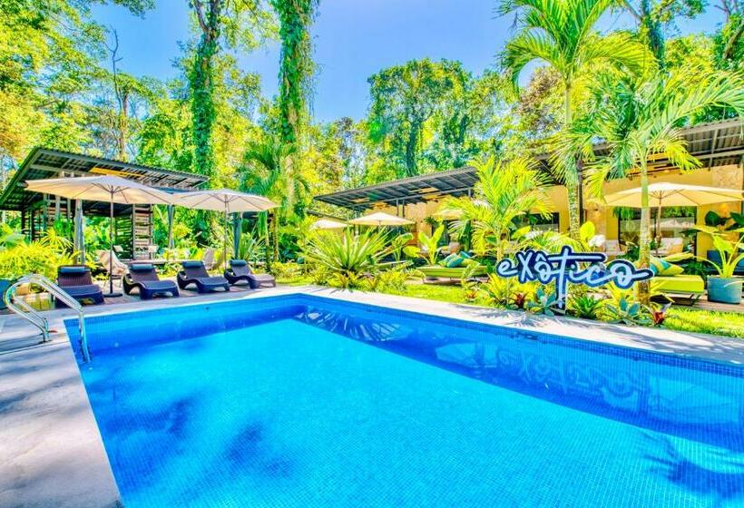 هتل Exôtico Beach & Rooms