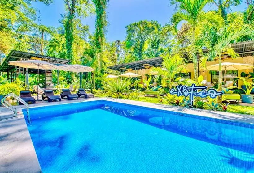 Hotelli Exôtico Beach & Rooms