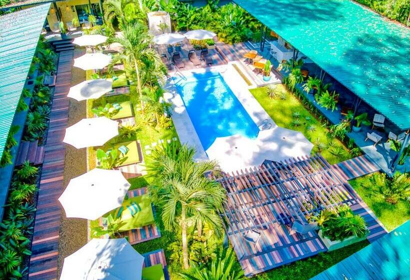 هتل Exôtico Beach & Rooms