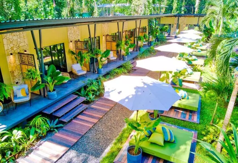 Hotelli Exôtico Beach & Rooms