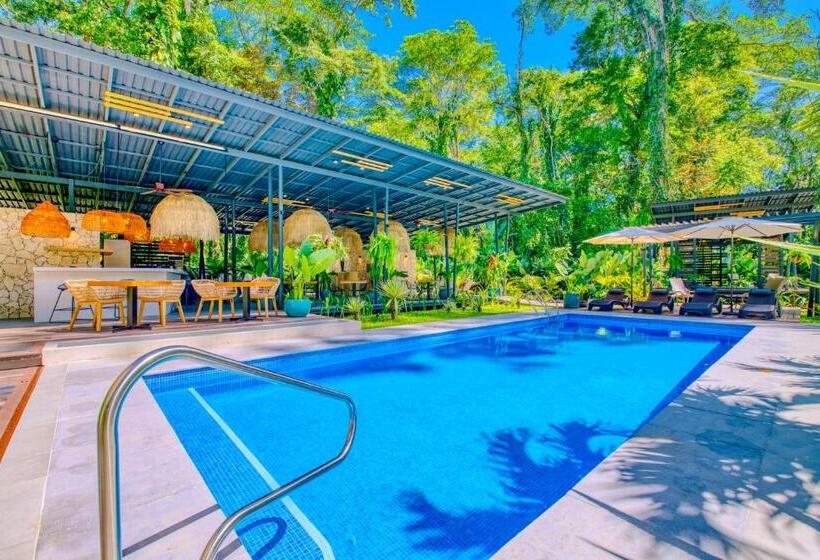 هتل Exôtico Beach & Rooms