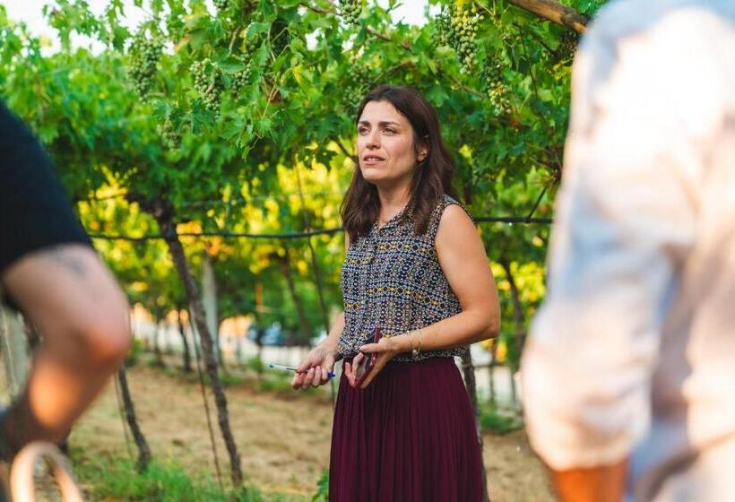 酒店 Palazzo Montanari Art & Wine Luxury Apartments