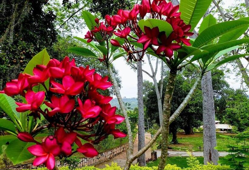 Hôtel Pousada E Camping Lumiar