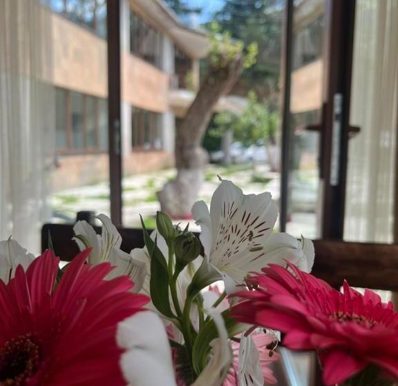 Kompozitor Hotel Dilijan