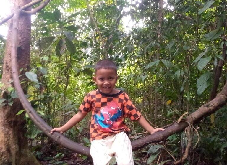 פנסיון Bukit Lawang Adventum