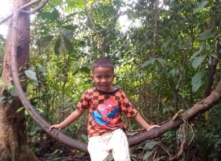 Majatalo Bukit Lawang Adventum