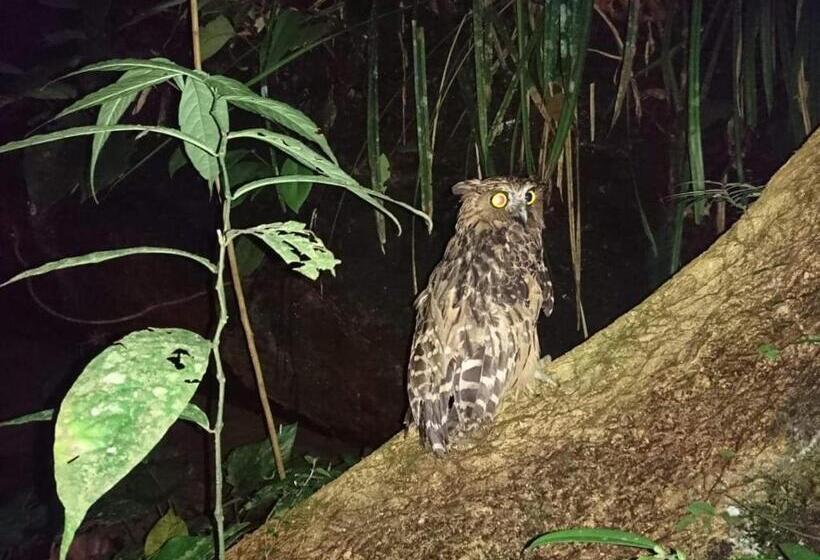 פנסיון Bukit Lawang Adventum