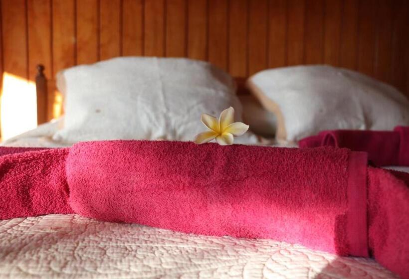 Pension Hostal Avareipua