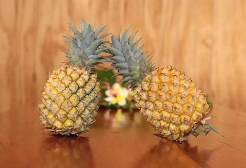 Majatalo Hostal Avareipua