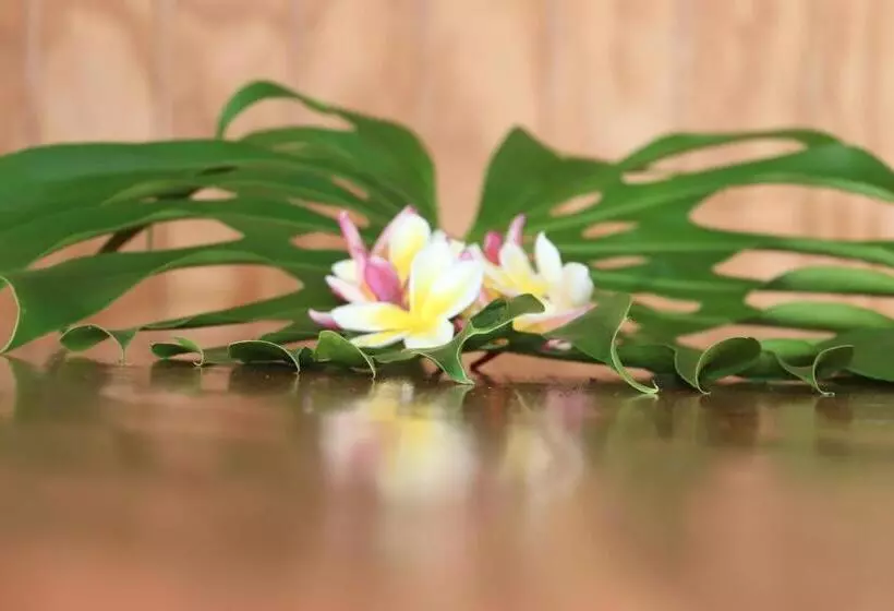 Majatalo Hostal Avareipua