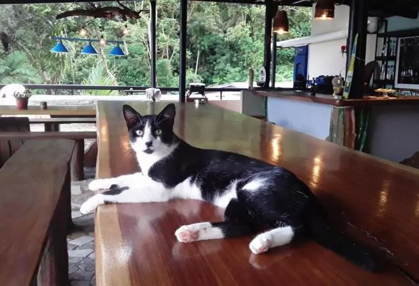 ユースホステル Hostal Portobelo