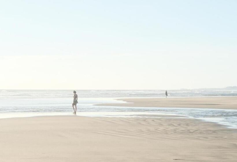 הוסטל Spaceland Mandrem