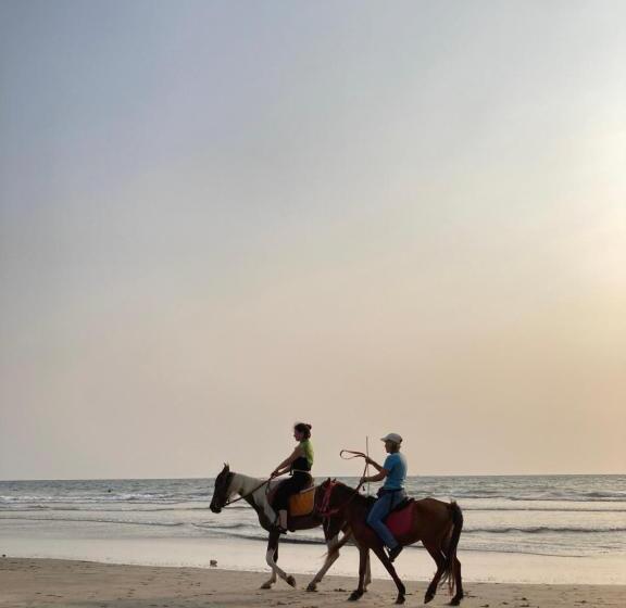 הוסטל Spaceland Mandrem