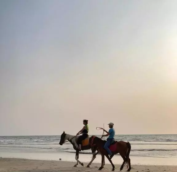 Auberge Spaceland Mandrem