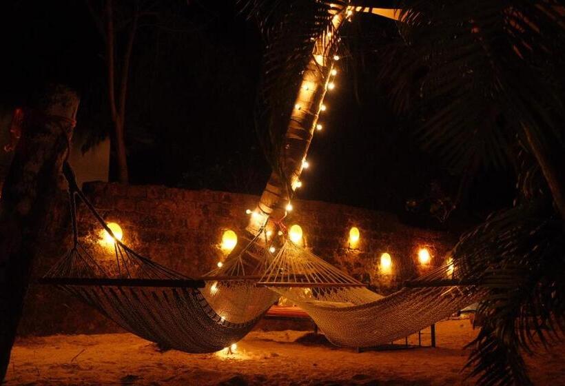 הוסטל Spaceland Mandrem