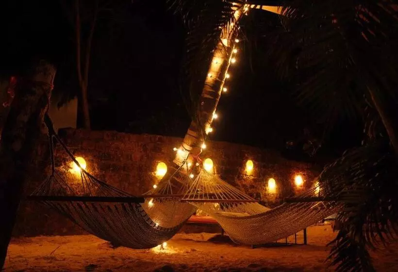 Auberge Spaceland Mandrem