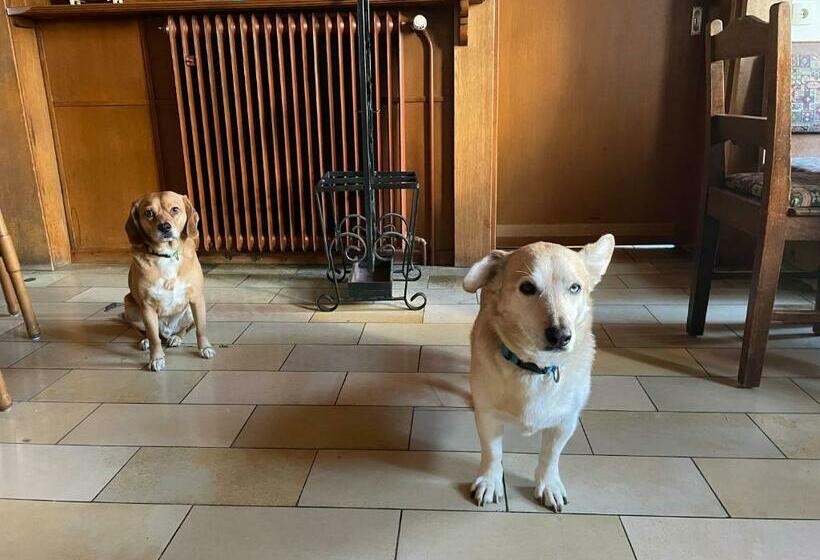 酒店 Berggarten Schwalenberg