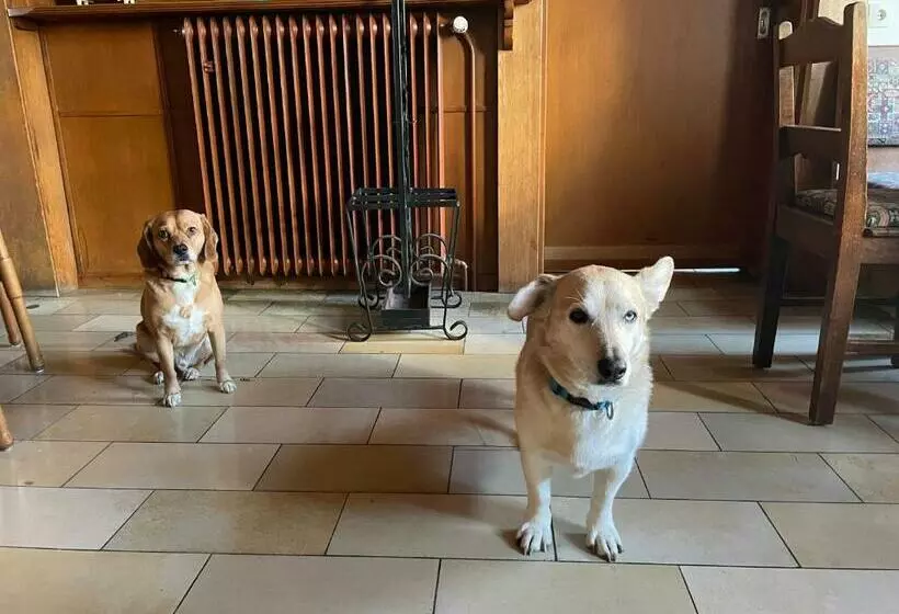 Hotelli Berggarten Schwalenberg