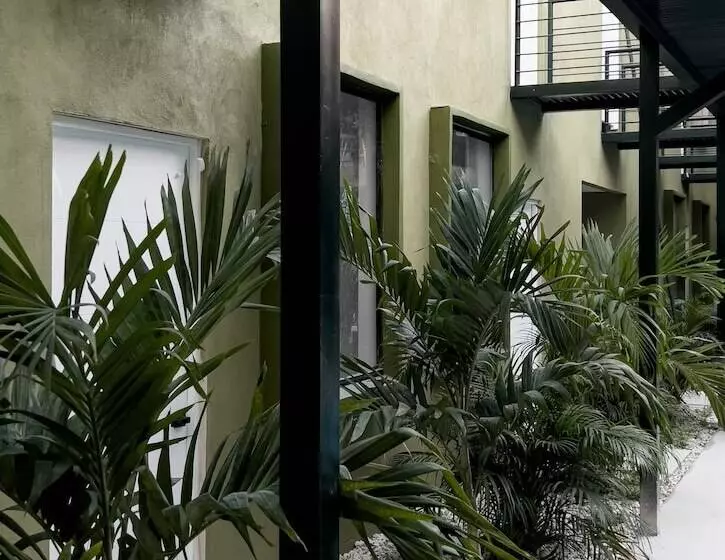 ホテル Oasis Tropical