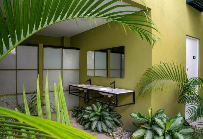 هتل Oasis Tropical