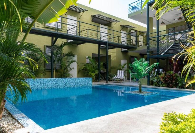 هتل Oasis Tropical