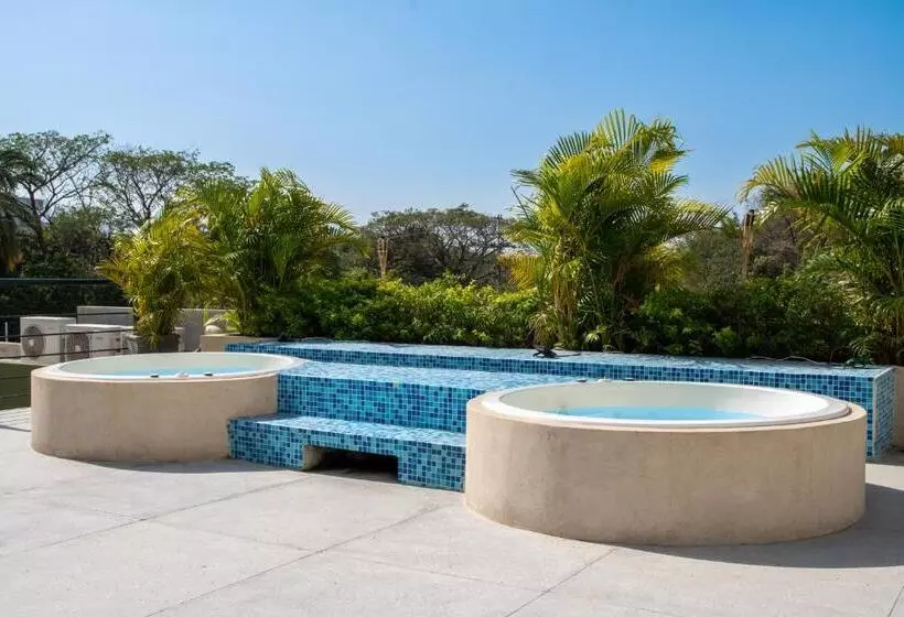 ホテル Oasis Tropical