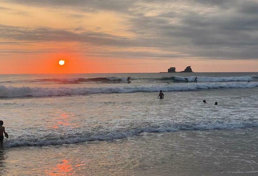 膳宿费 Malevo Suites Apartments