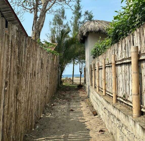 膳宿费 Malevo Suites Apartments