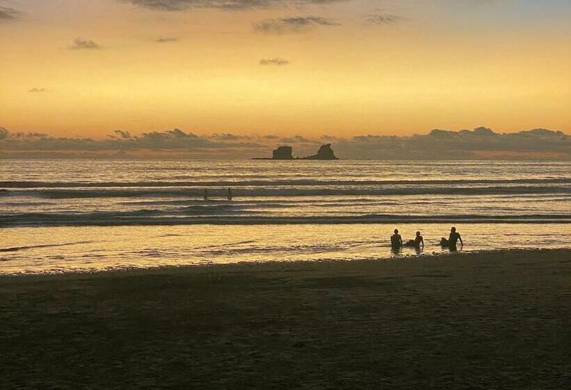 膳宿费 Malevo Suites Apartments