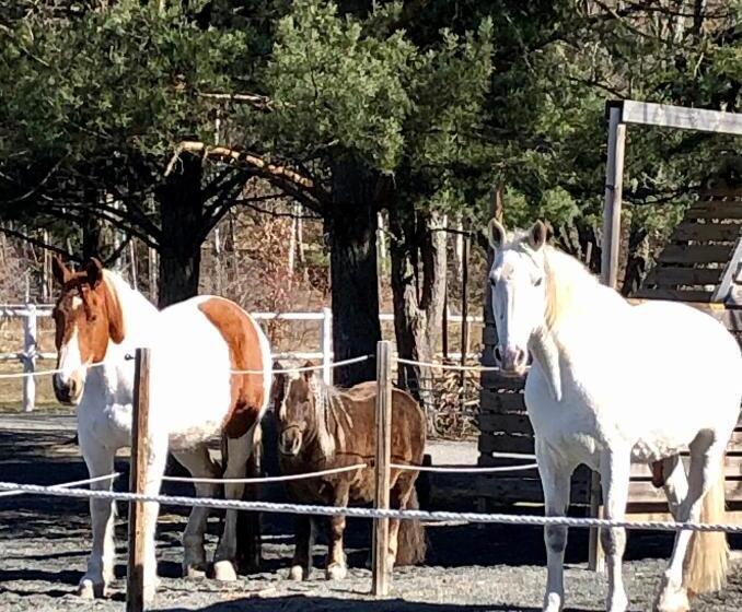 ベッドアンドブレックファースト Annehill I Bro