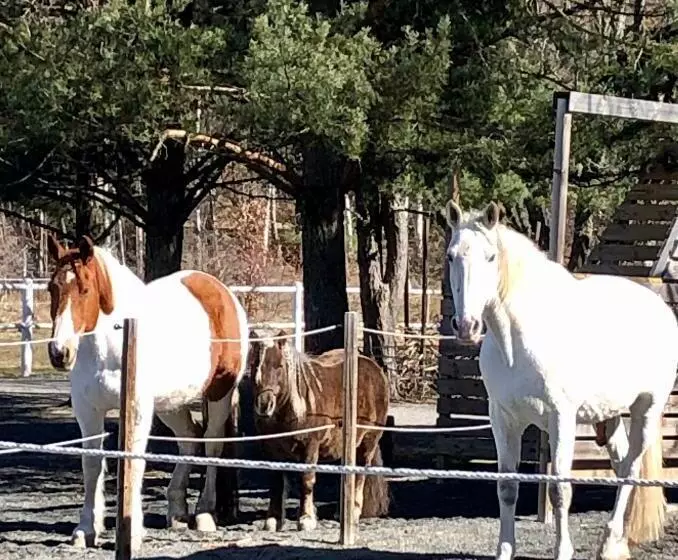 ベッドアンドブレックファースト Annehill I Bro