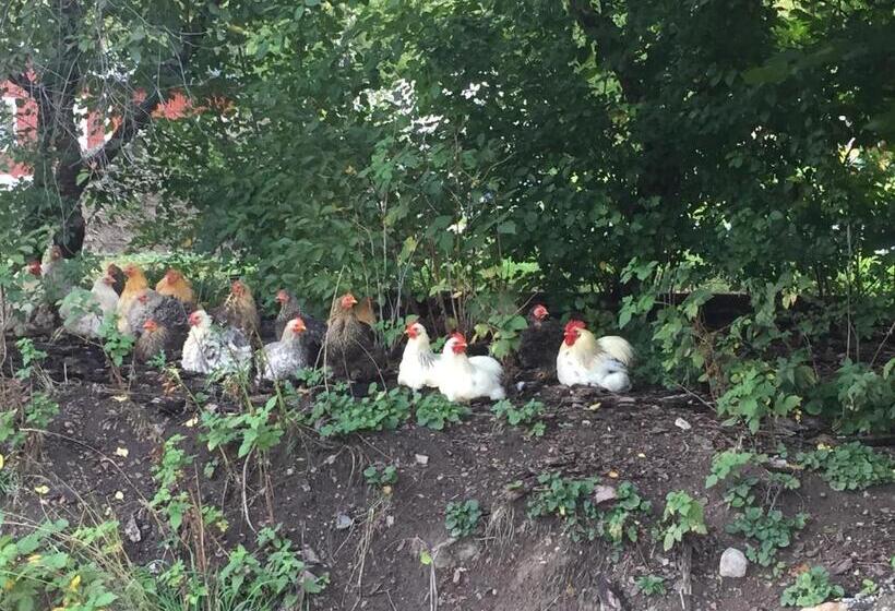 ベッドアンドブレックファースト Annehill I Bro