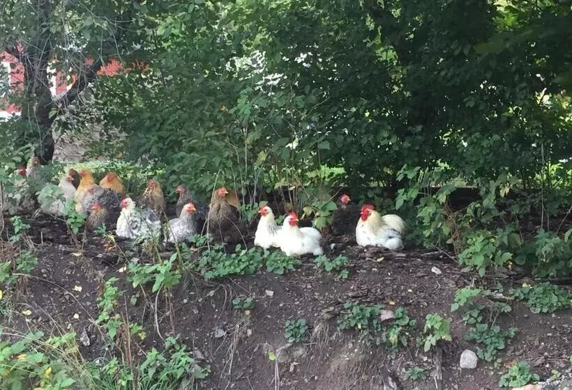 ベッドアンドブレックファースト Annehill I Bro