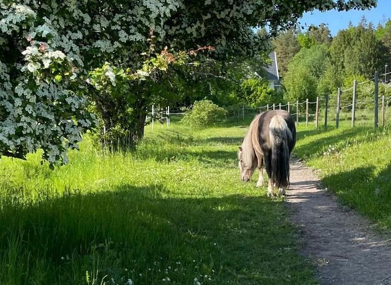 ベッドアンドブレックファースト Annehill I Bro